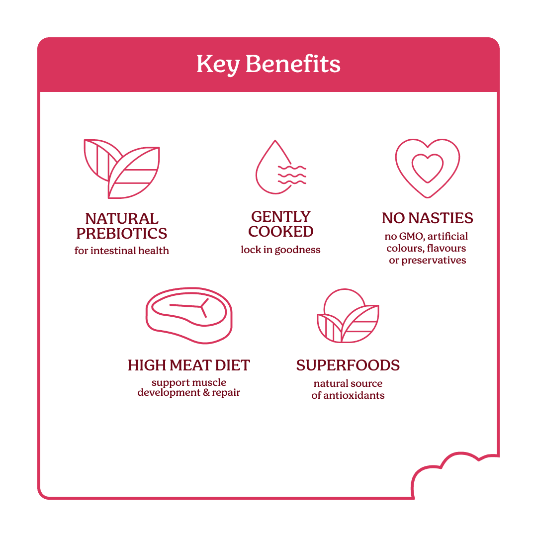 Instinctive Bite Lamb & Salmon Air Dried All Lifestages Dry Dog Food