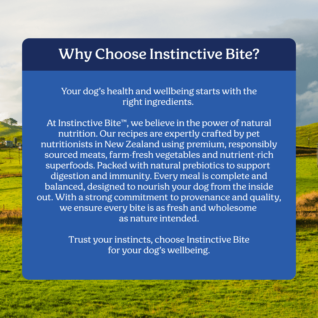 Instinctive Bite Single Protein Lamb All Lifestages Wet Dog Food Cans