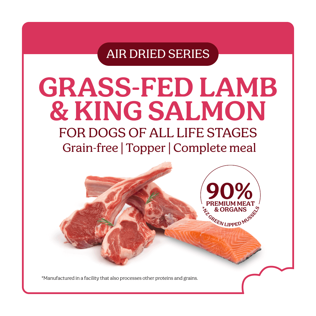 Instinctive Bite Lamb & Salmon Air Dried All Lifestages Dry Dog Food