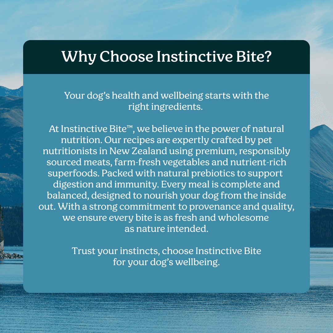 Instinctive Bite Lamb & Mackerel All Lifestages Wet Dog Food Cans