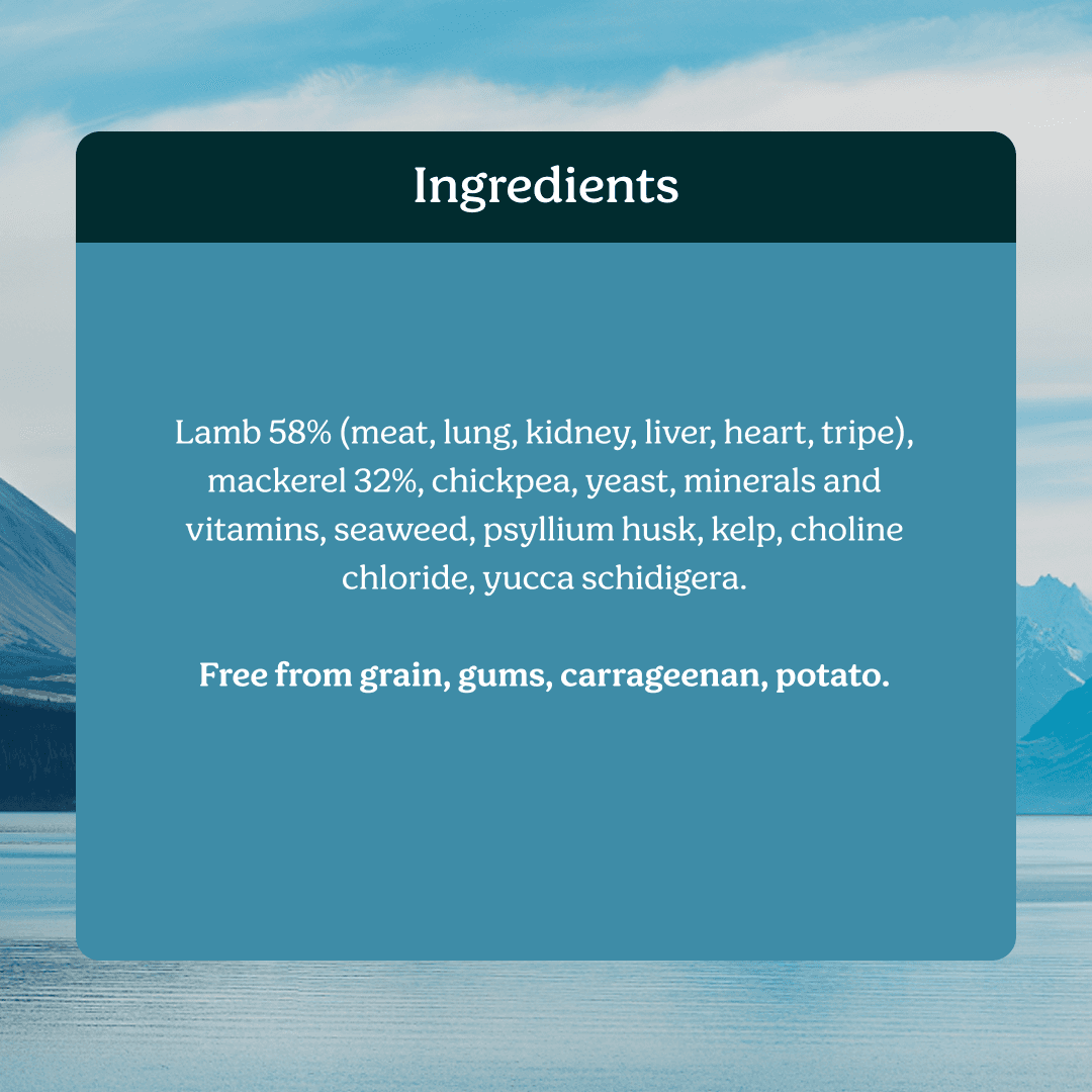 Instinctive Bite Lamb & Mackerel All Lifestages Wet Dog Food Cans