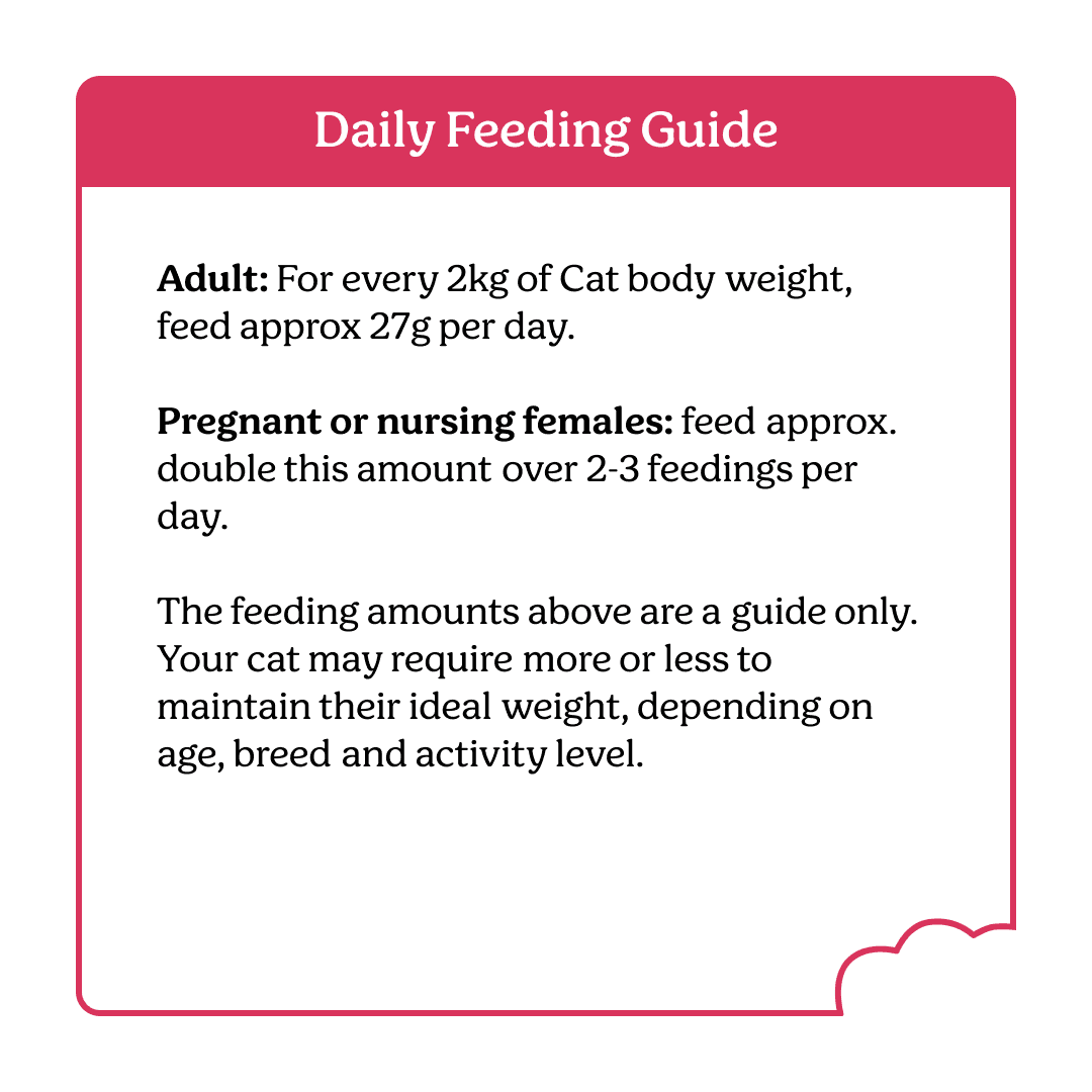 Instinctive Bite Lamb & Salmon Air Dried All Lifestages Dry Cat Food
