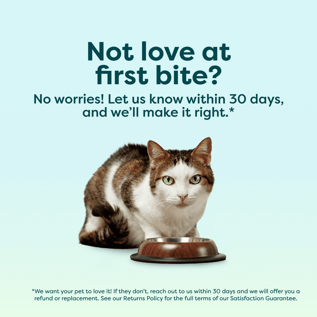 Instinctive Bite Lamb & Mackerel All Lifestages Wet Cat Food Cans