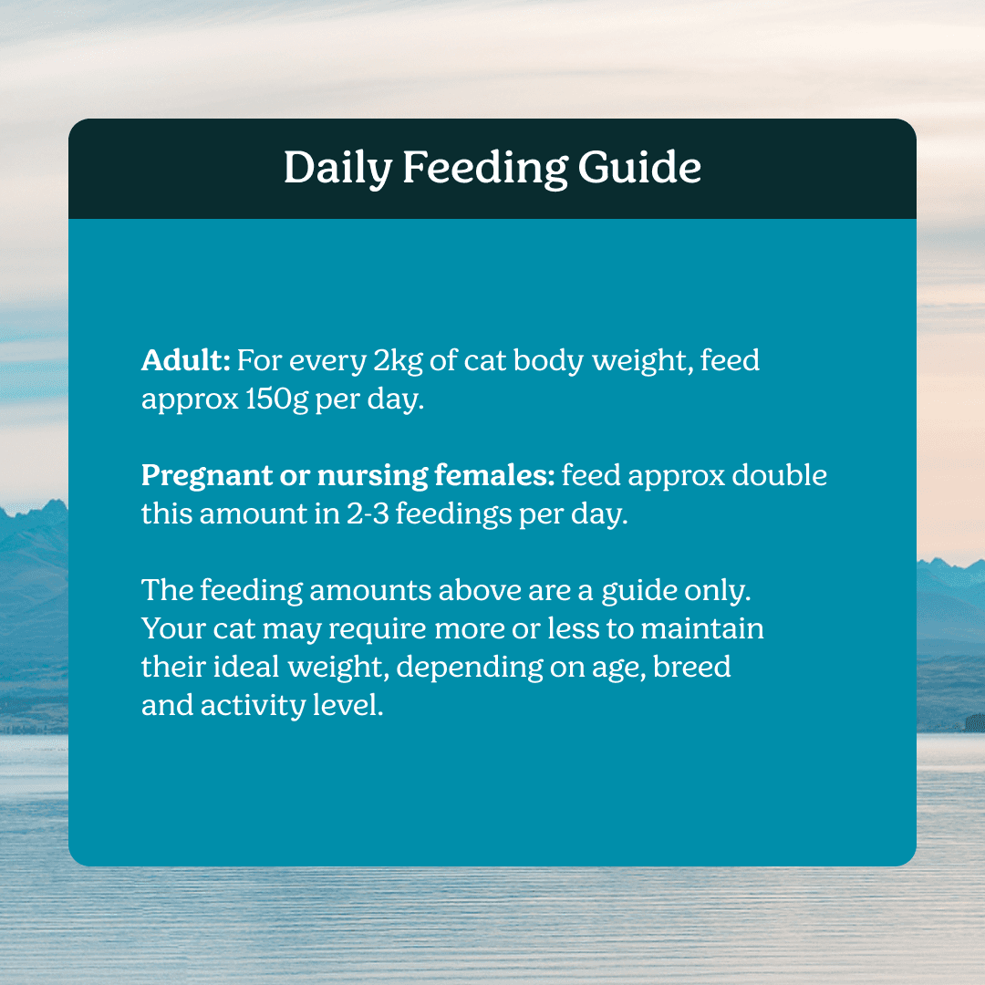 Instinctive Bite Lamb & Mackerel All Lifestages Wet Cat Food Cans