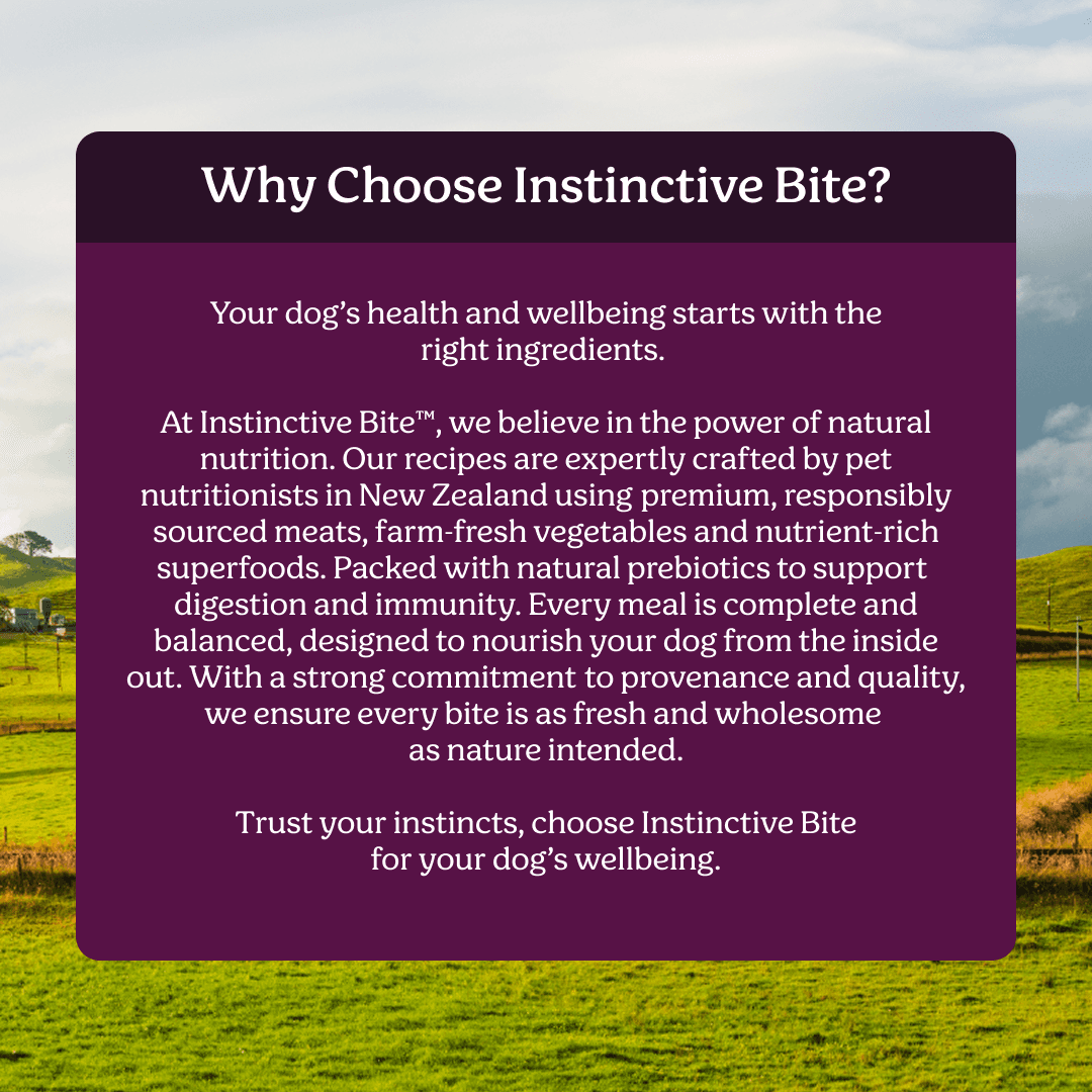 Instinctive Bite Single Protein Venison All Lifestages Wet Dog Food Cans