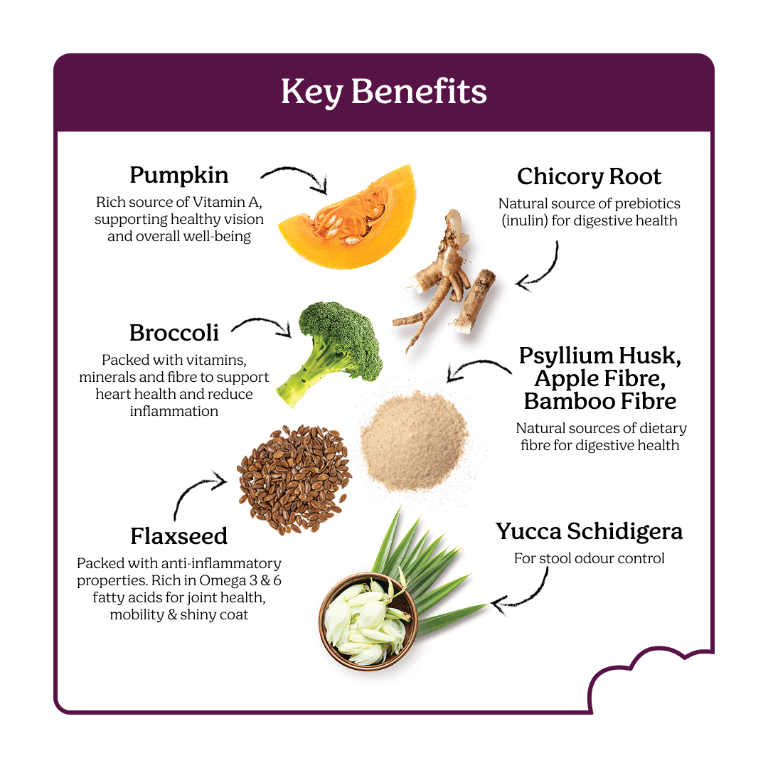 Instinctive Bite Beef & Venison Air Dried All Lifestages Dry Cat Food