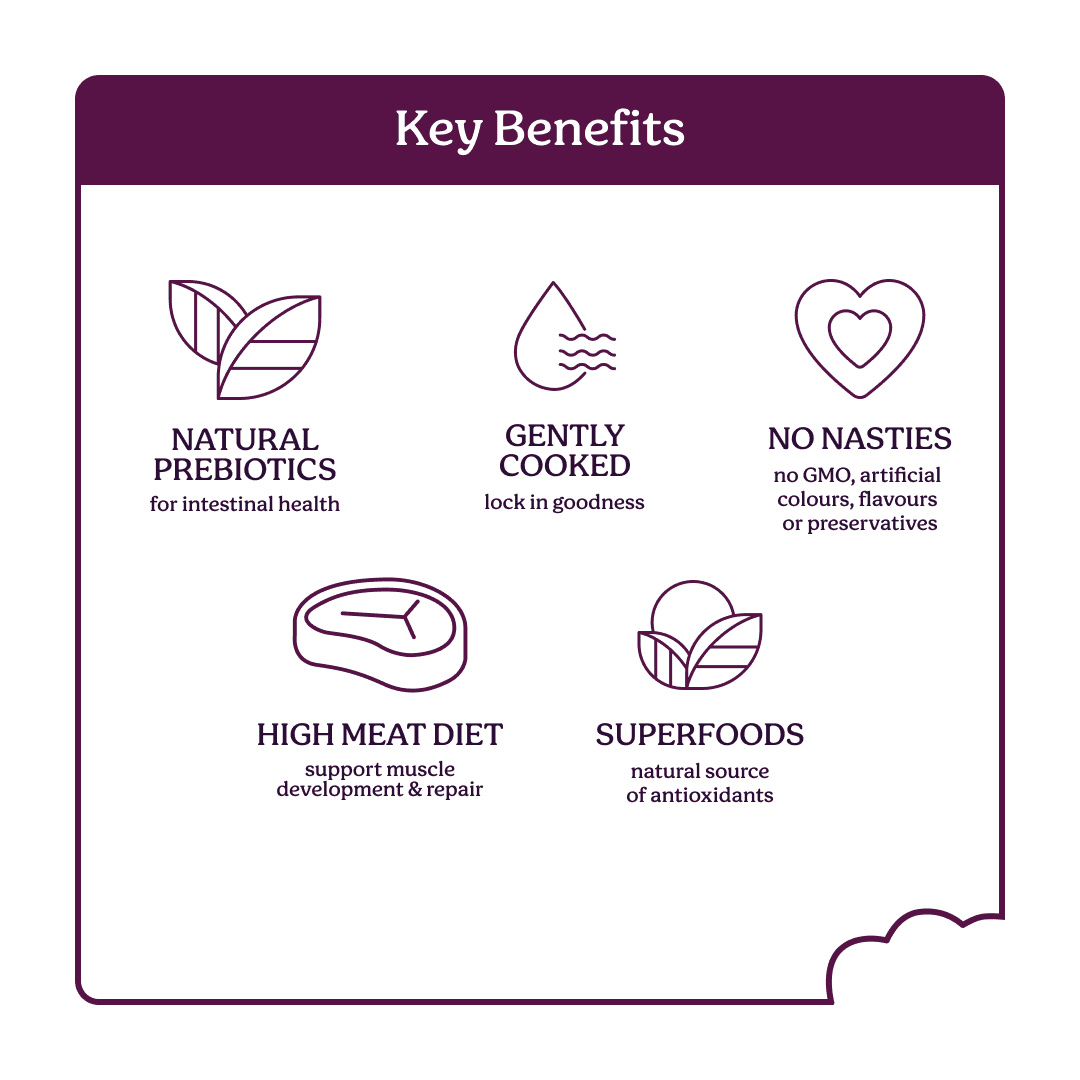 Instinctive Bite Beef & Venison Air Dried All Lifestages Dry Cat Food