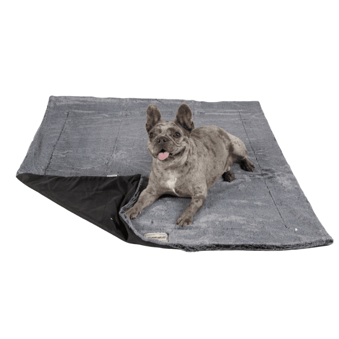 itchy-witchy-soothing-dog-blanket-with-essential-oils-black