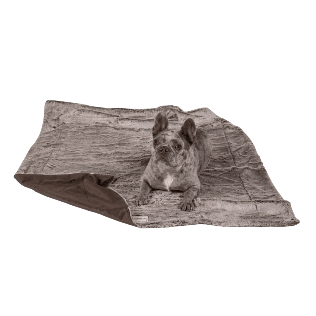 itchy-witchy-soothing-dog-blanket-with-essential-oils-brown