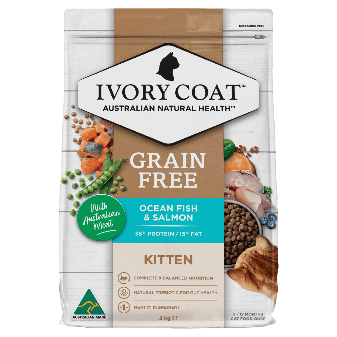 Better Bundles Ivory Coat Kitten Bundle