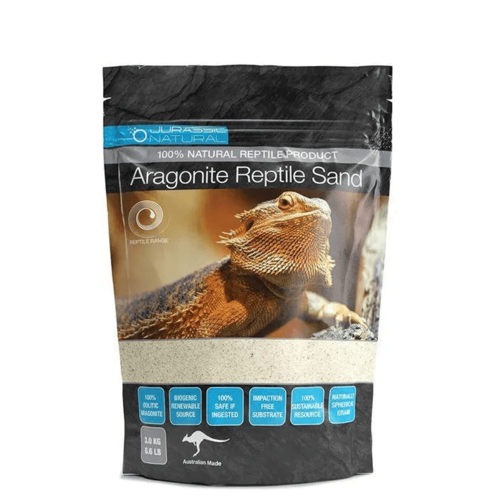 jurassic-natural-aragonite-reptile-sand