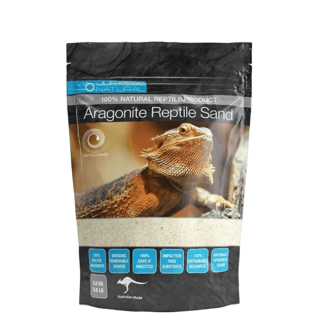 jurassic-natural-aragonite-reptile-sand