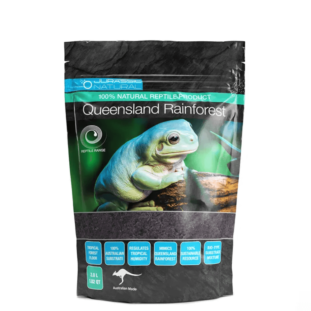 jurassic-natural-queensland-rainforest