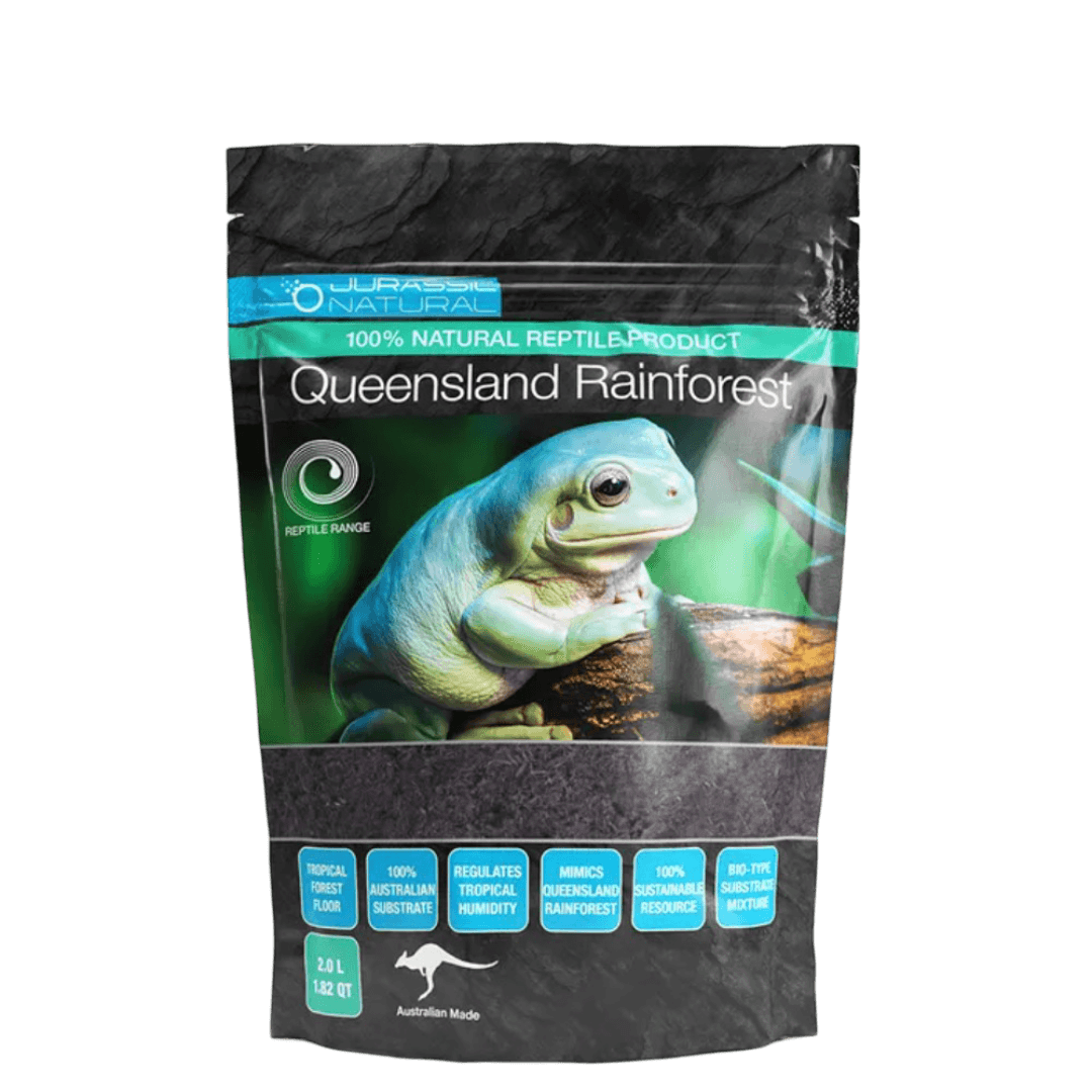 jurassic-natural-queensland-rainforest