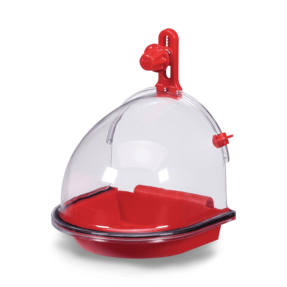 jw-insight-bird-bath