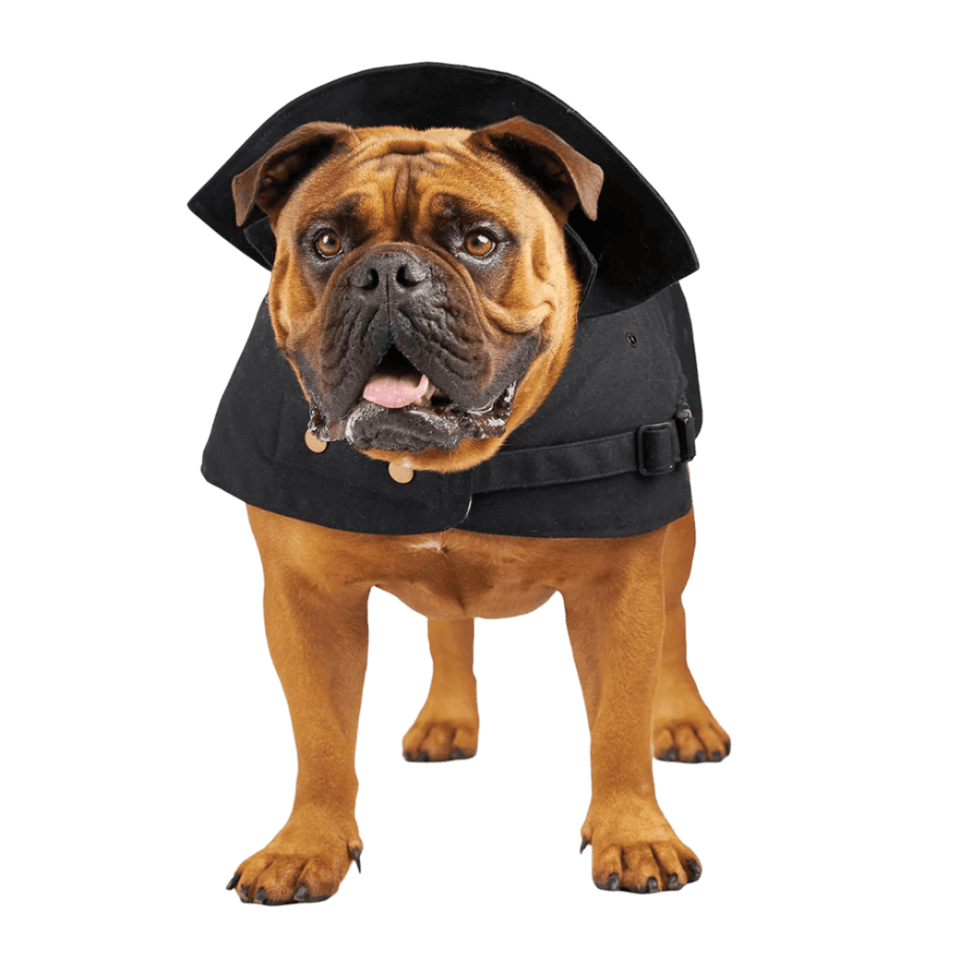 kazoo-aussie-oilskin-black-dog-coat