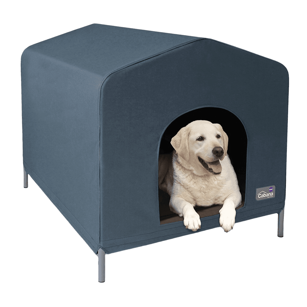 kazoo-cabana-dog-house-cobalt