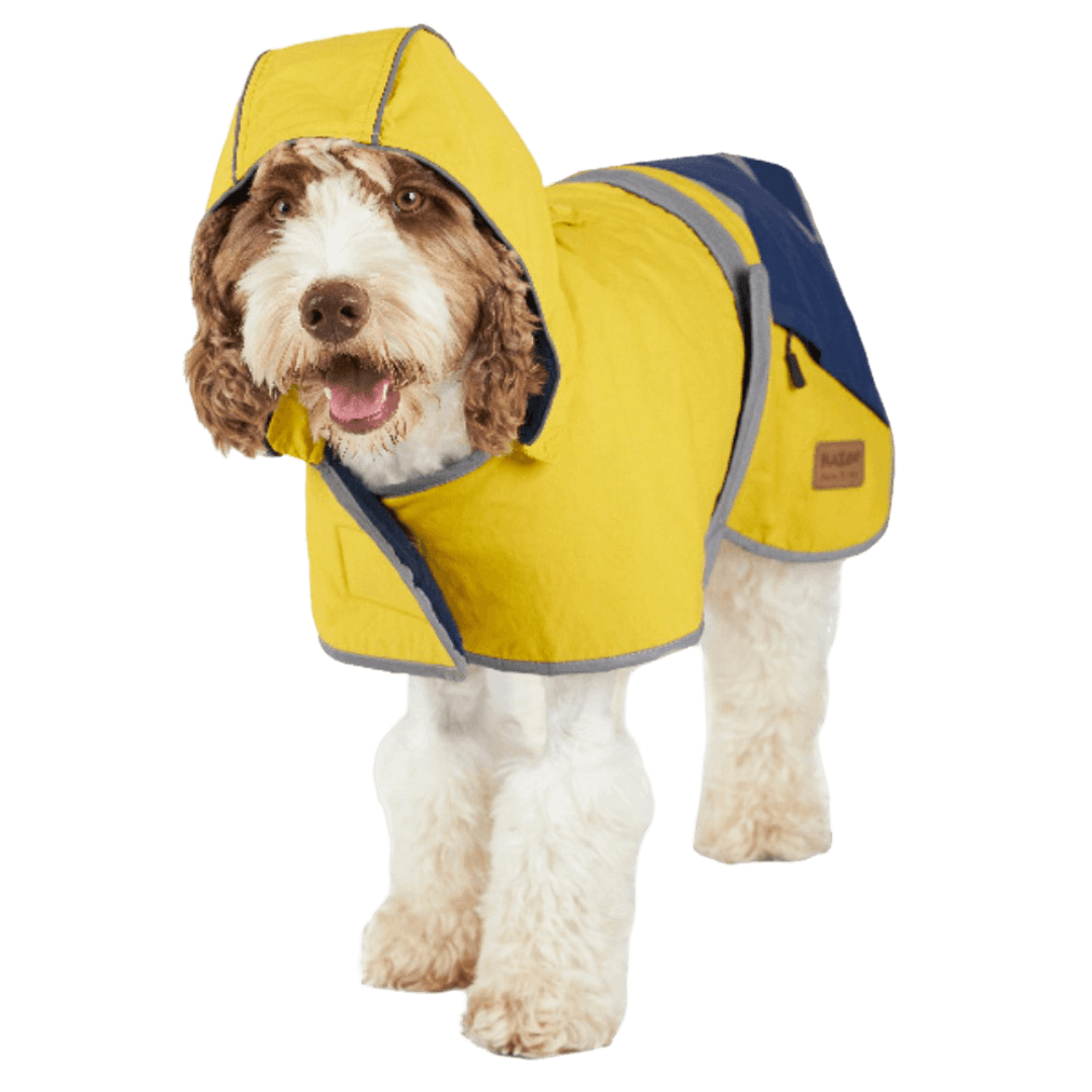 kazoo-cosy-dog-raincoat-mustard