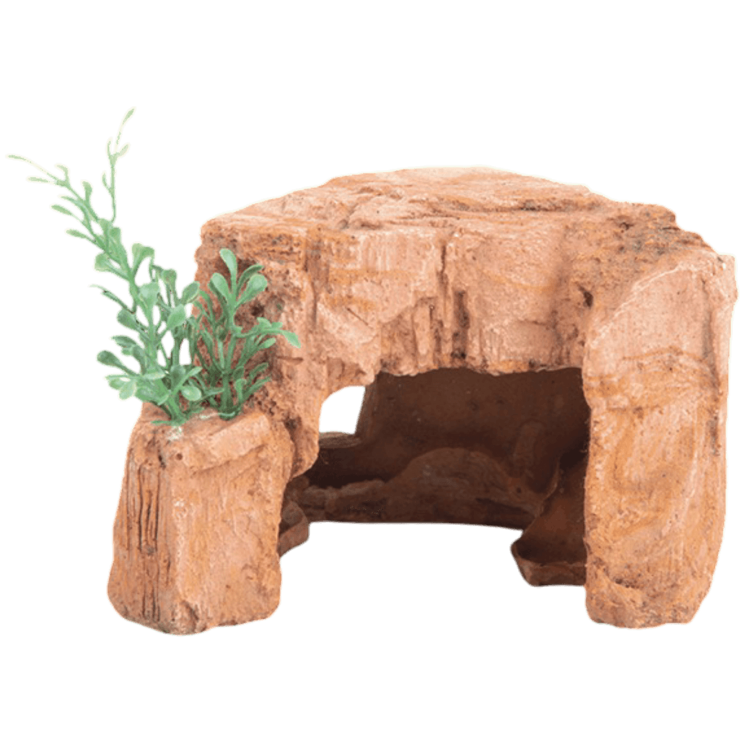 kazoo-sandstone-rock-with-plant