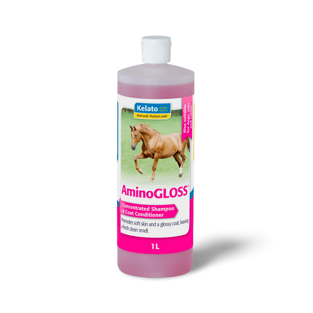 kelato-aminogloss-concentrated-shampoo-and-conditioner