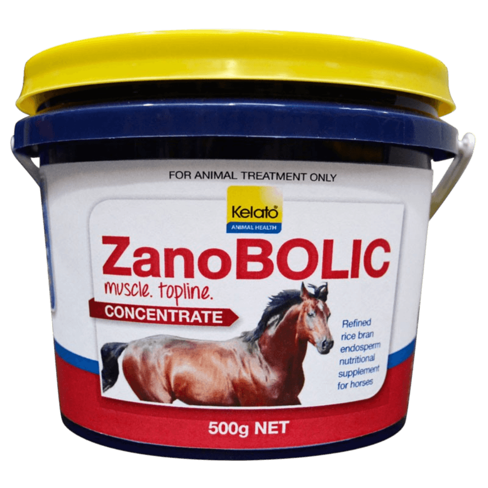 kelato-zanobolic-concentrate-muscle-and-coat-horse-supplement