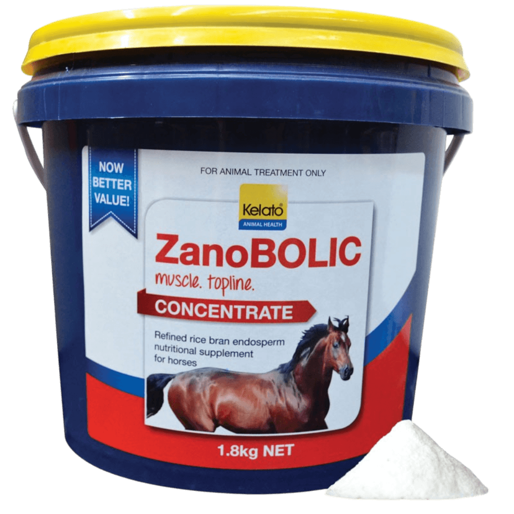 Kelato Zanobolic Concentrate Muscle And Coat Horse Supplement