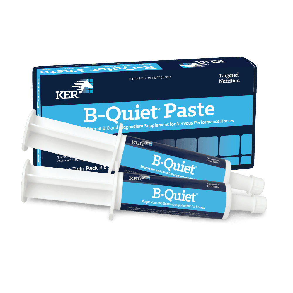 kentucky-equine-research-targeted-nutrition-equivit-b-quiet-paste