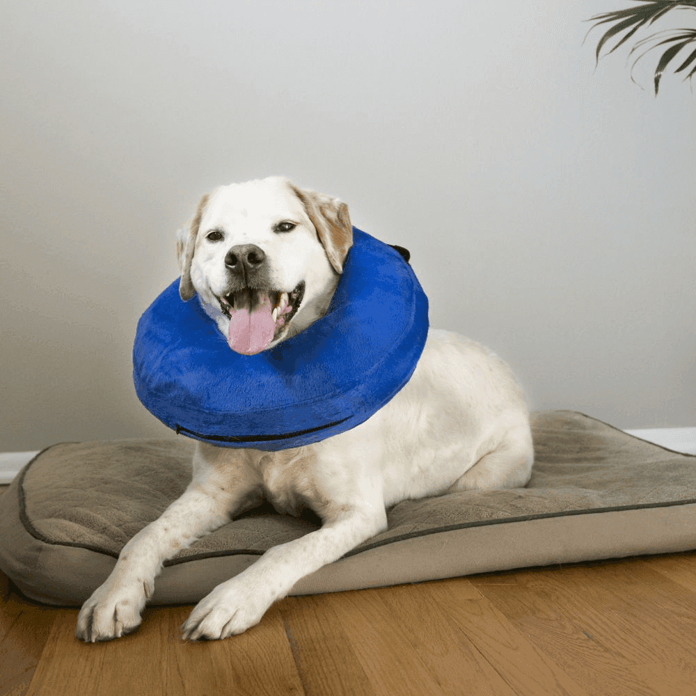 KONG Cloud Collar Inflatable Recovery Collar for Pets