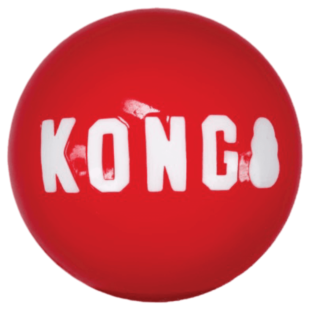 kong-signature-large-dog-balls-3-pack