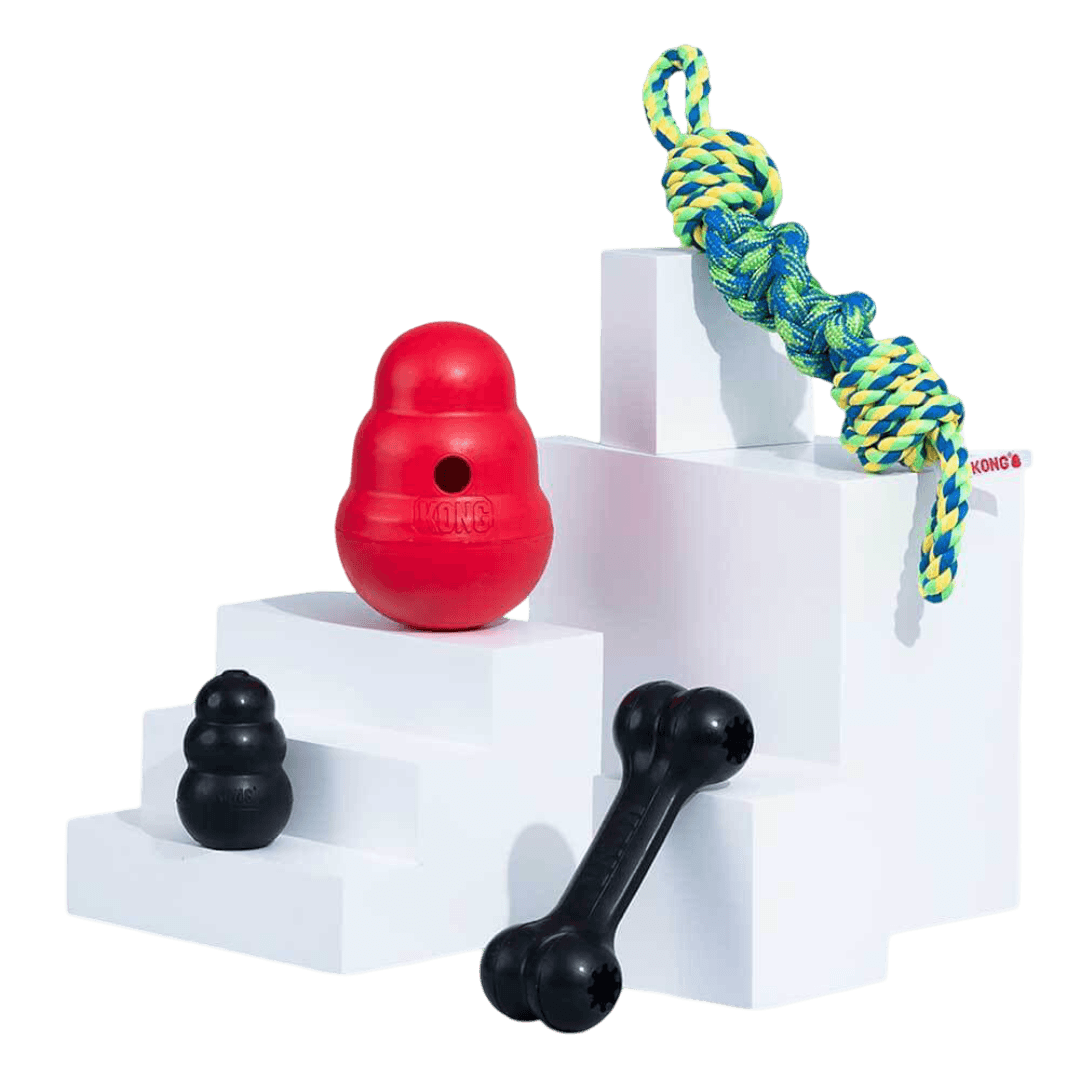 kong-small-dog-better-bundle
