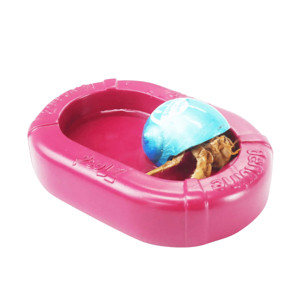 krabooz-salt-poolz-resin-pool-with-steps-for-hermit-crabs