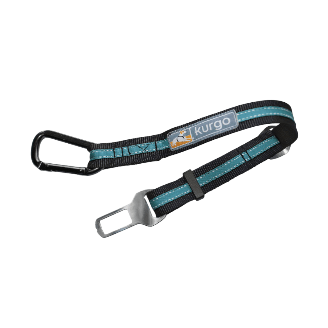 kurgo-direct-to-seatbelt-tether-blue
