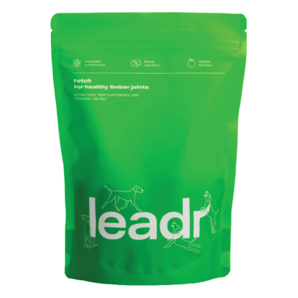 leadr-fetch-joint-supplement-for-dogs
