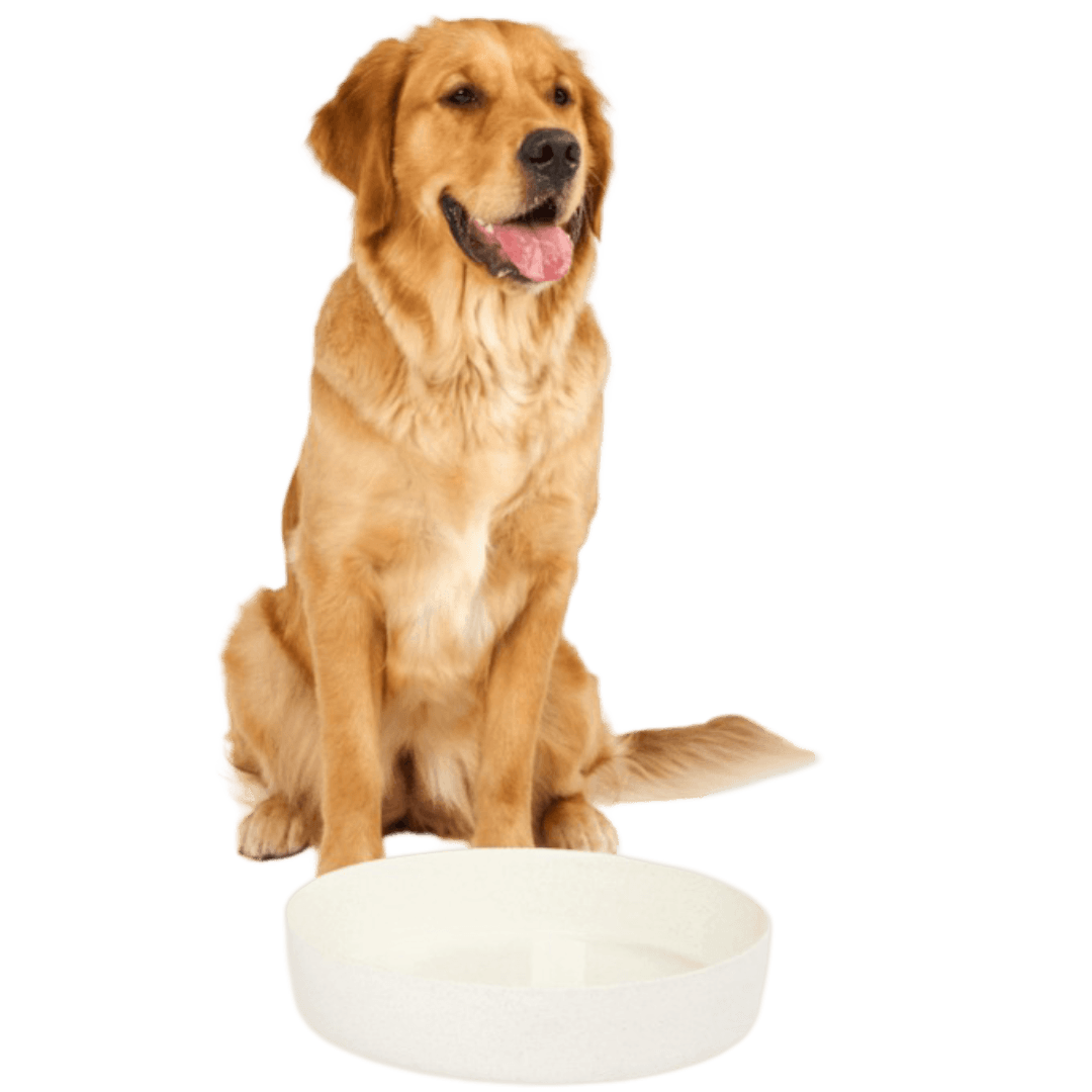 lilly-and-dash-dog-outdoor-water-bowl-milk-speckle