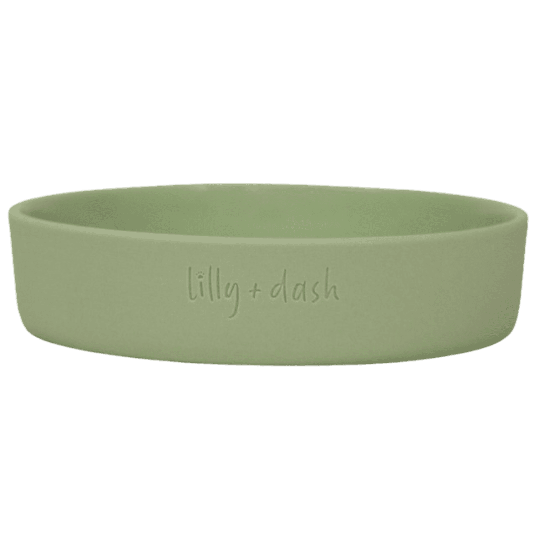 lilly-and-dash-mint-cat-feeding-bowl