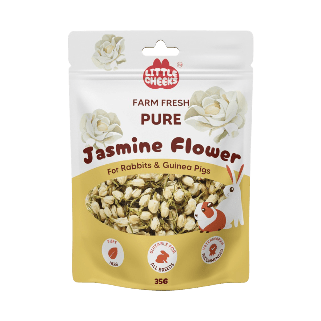 little-cheeks-farm-fresh-pure-jasmine-flower-for-rabbits-and-guinea-pigs-treats