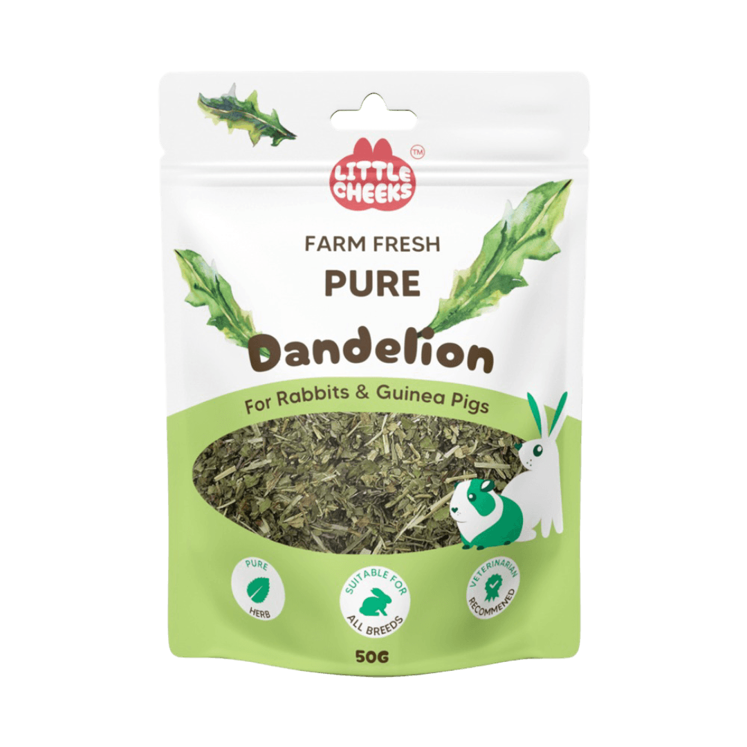 little-cheeks-farm-fresh-pure-dandelion-leaf-for-rabbits-and-guinea-pigs-treats