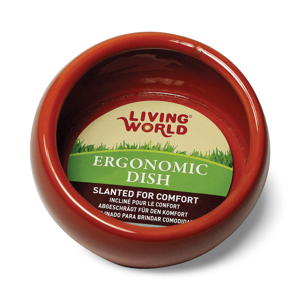 living-world-ceramic-ergonomic-pet-dish-terracotta