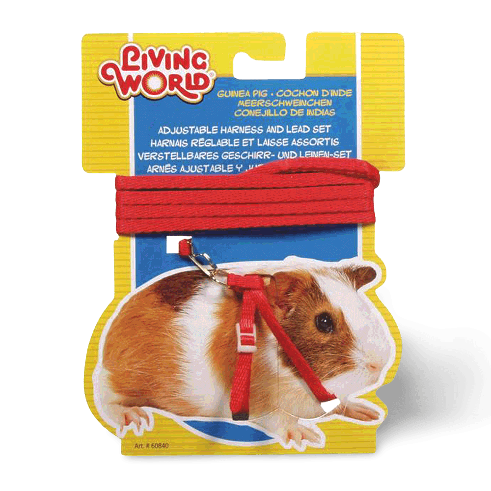 living-world-dwarf-rabbit-harness-lead-set-yellow-small-animal
