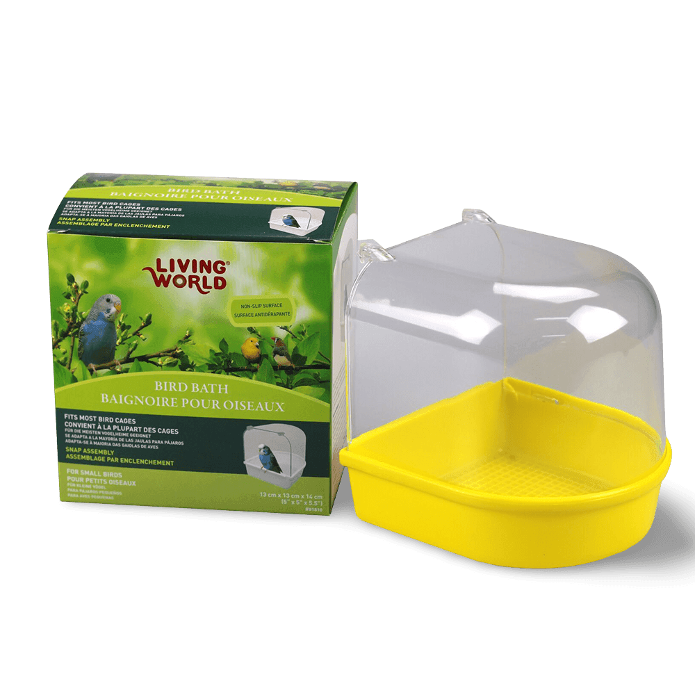 living-world-outside-bird-bath