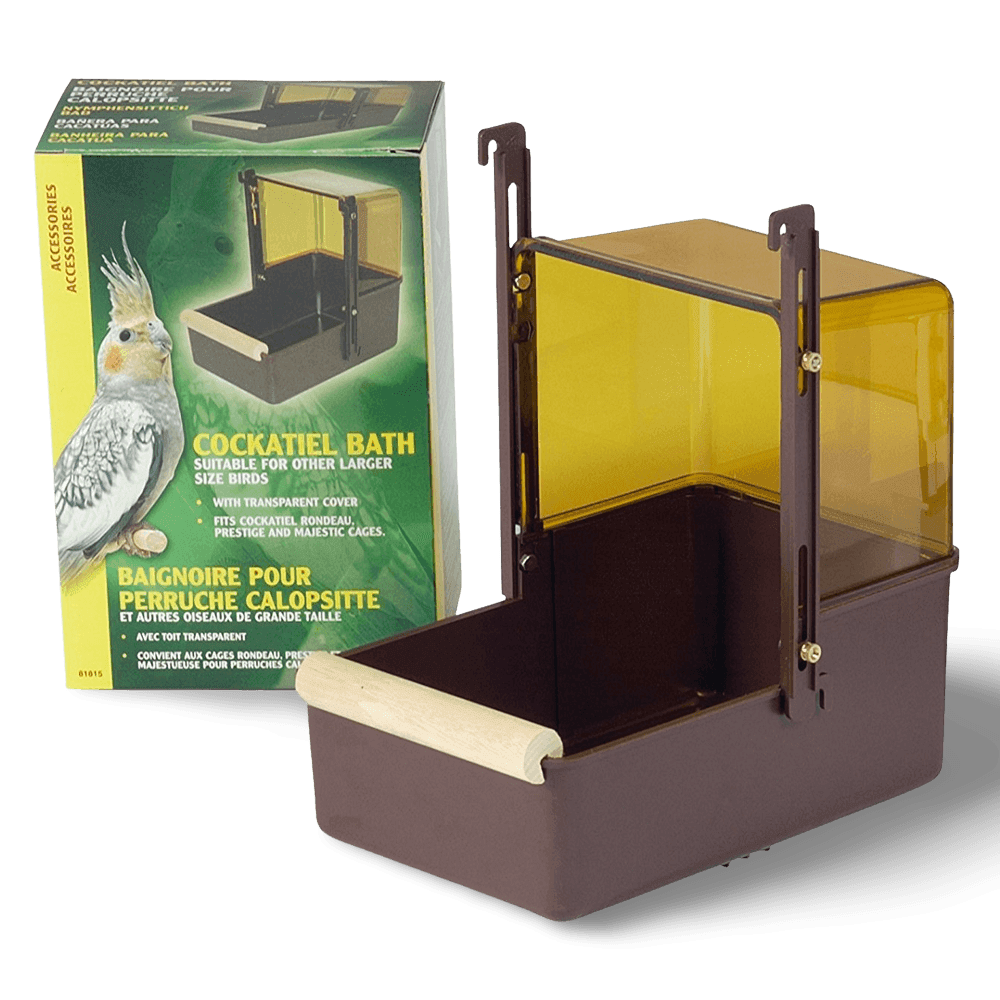 living-world-outside-bird-bath-for-cockatiels