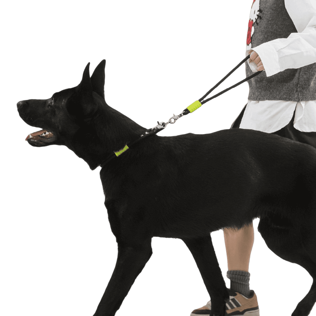 maogou-blue-marshmallow-short-dog-leash-black