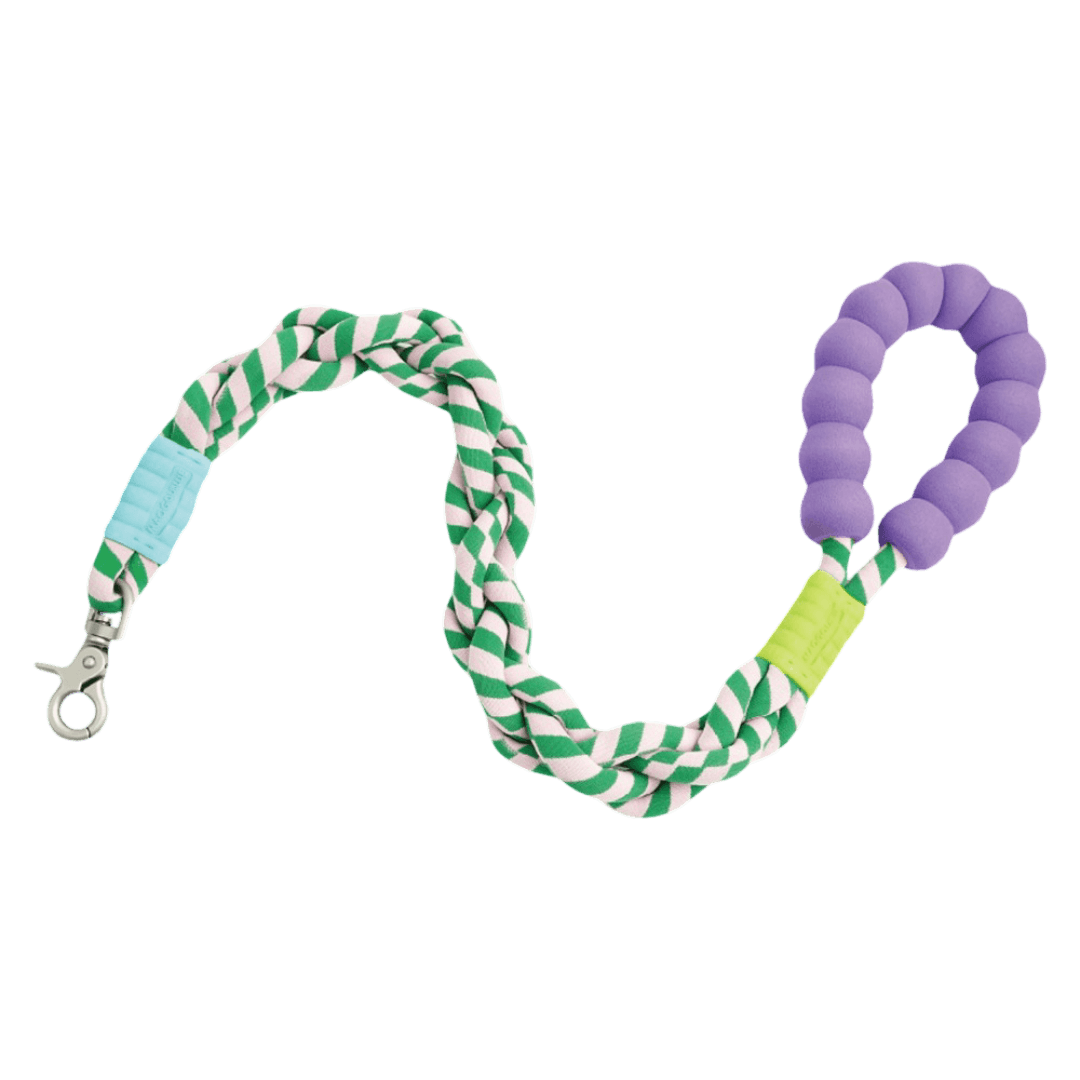 maogou-blue-marshmallow-twisted-dog-leash-green