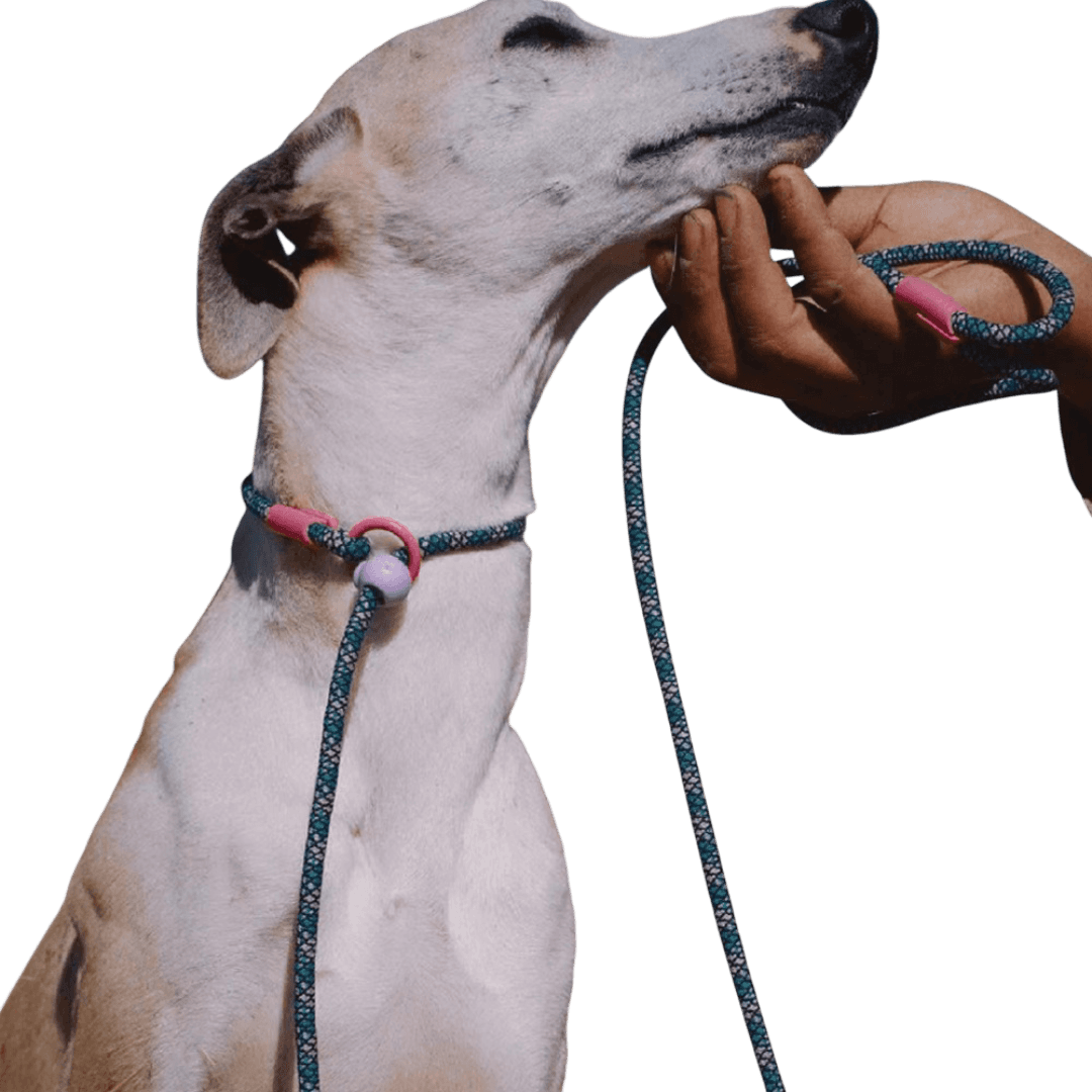 maogou-blue-slip-lead-metal-purple