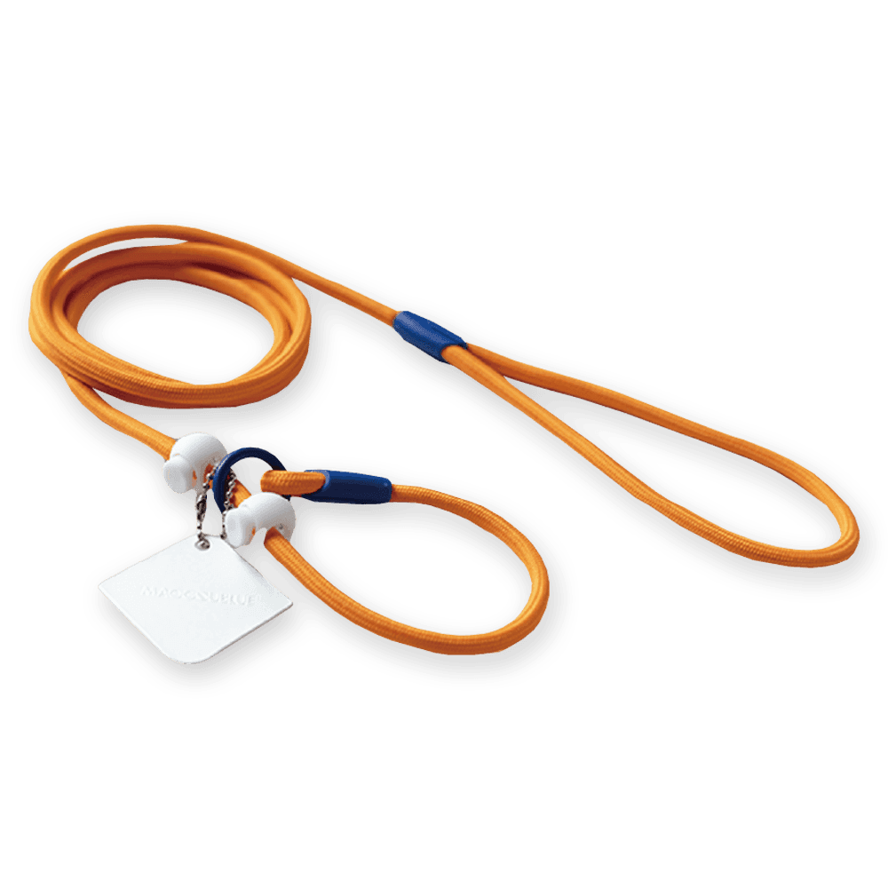 maogou-blue-slip-lead-pumpkin-orange