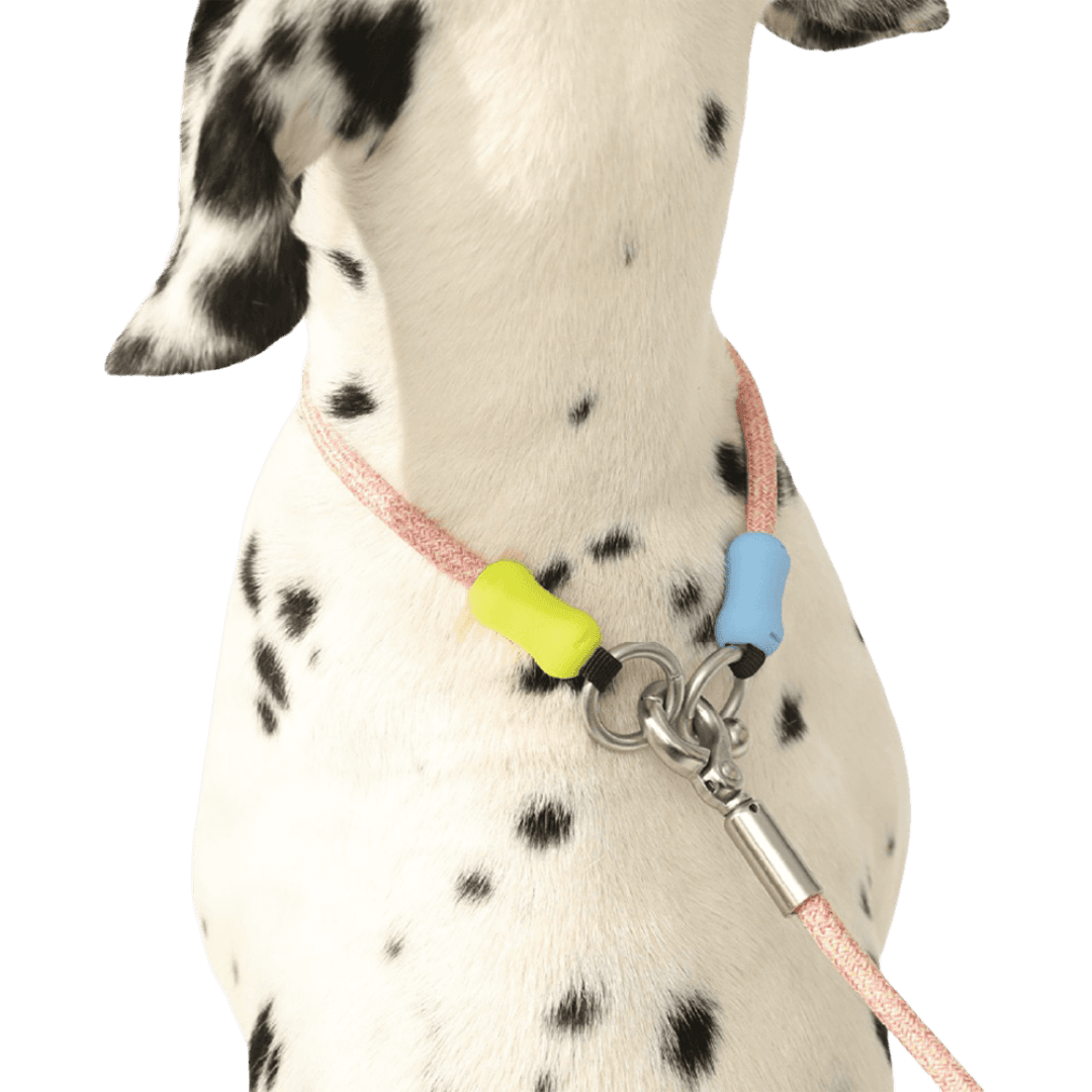 maogou-blue-souffle-dog-collar-brown