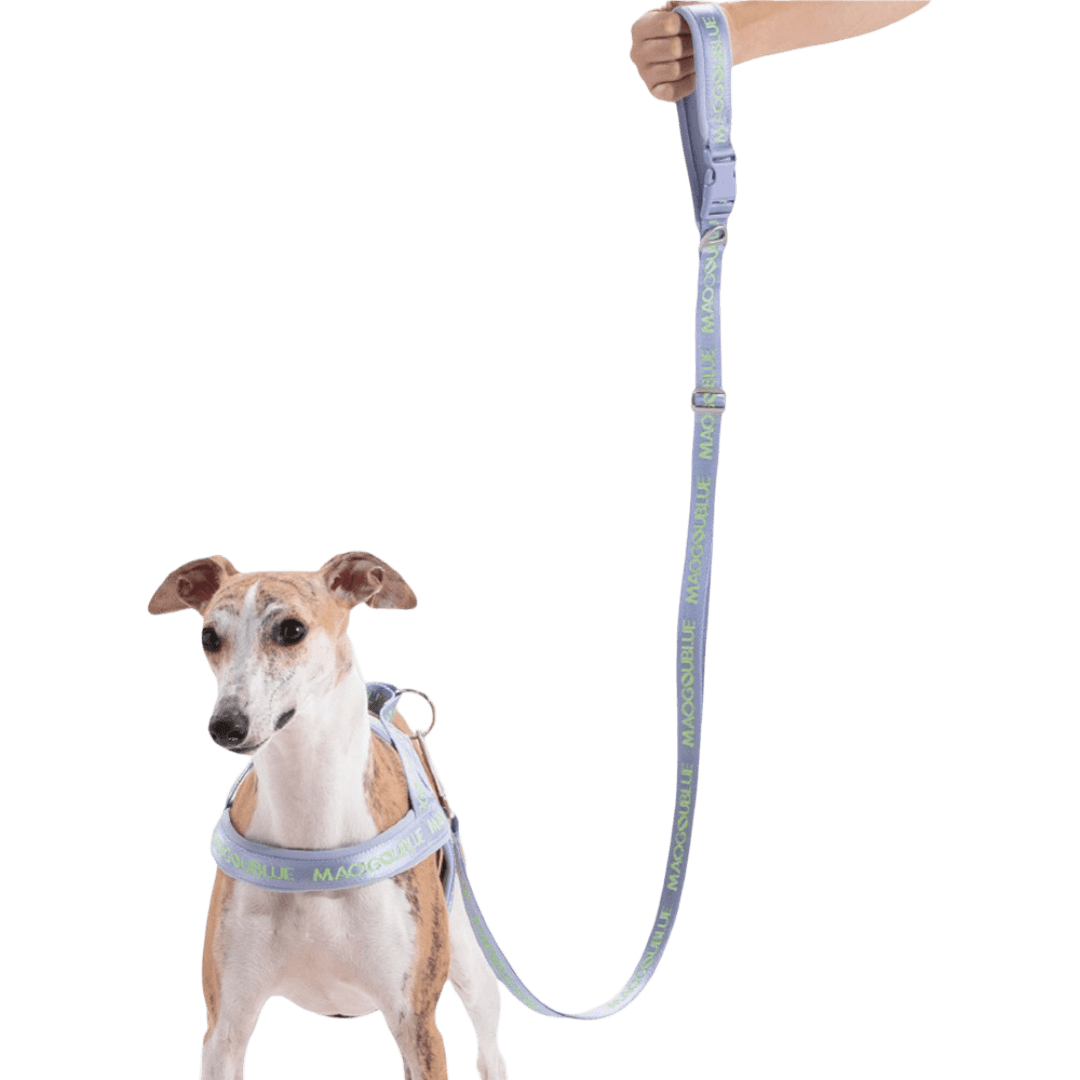 maogou-blue-wind-zinc-dog-leash-lavender-purple
