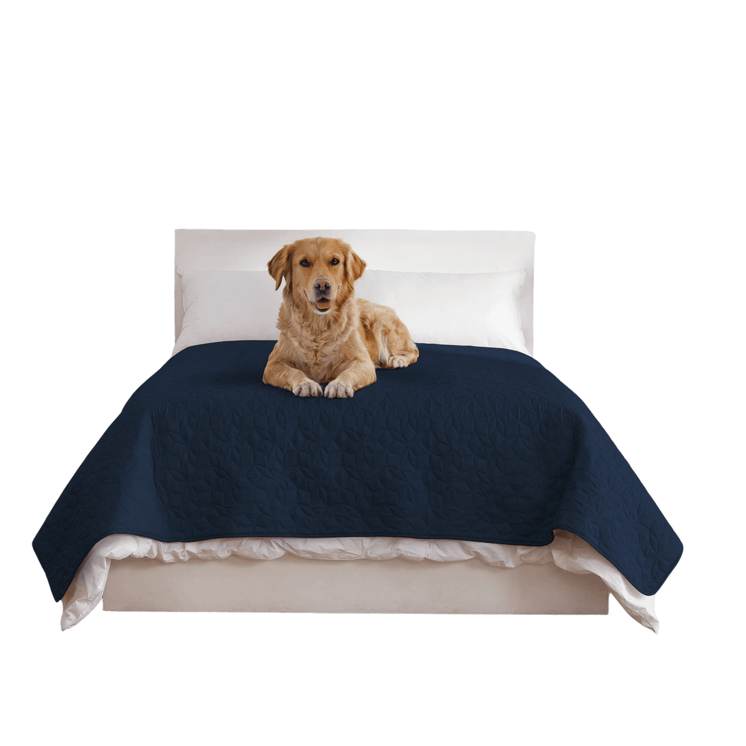 Sofur Waterproof Dog Bed Cover Protector Midnight Blue