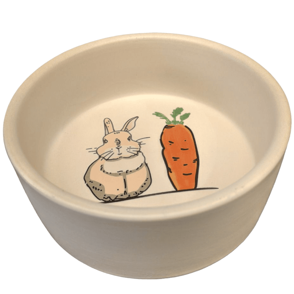 nature-island-frost-art-rabbit-and-carrot-small-animal-ceramic-bowl
