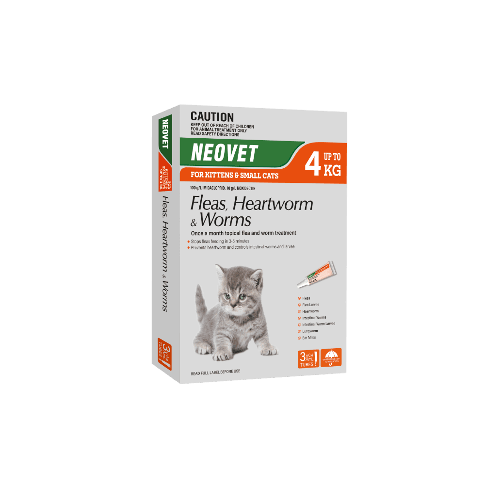 Flea And Worming For Kittens And Small Cats